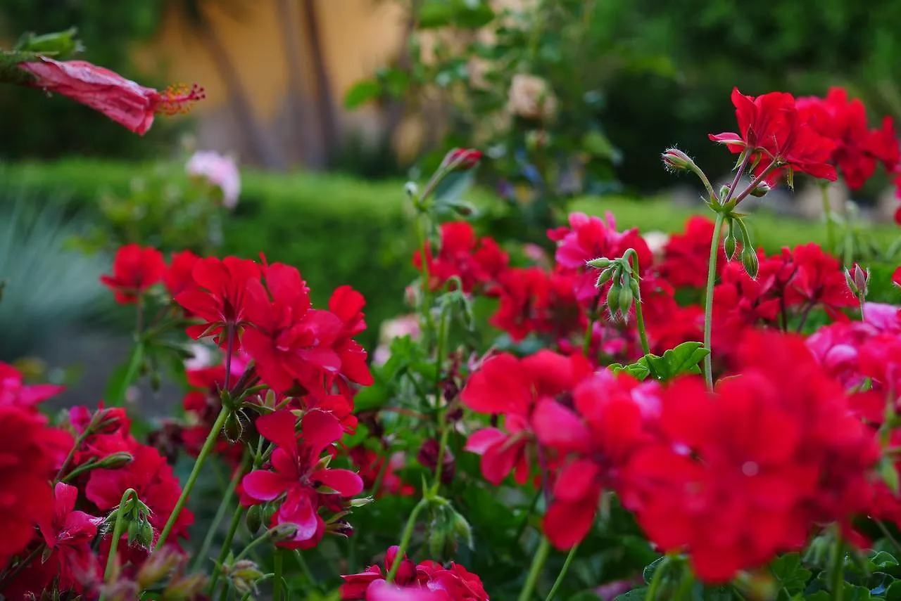 Nocleg ze śniadaniem B&B Templi E Arte Villaggio Mosè